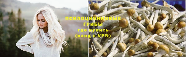 экстази Заволжск
