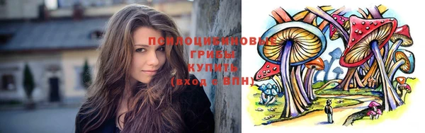 марки nbome Заводоуковск