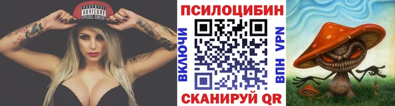 Купить закладки  Крымск  Галлюциногенные грибы Psilocybe 
