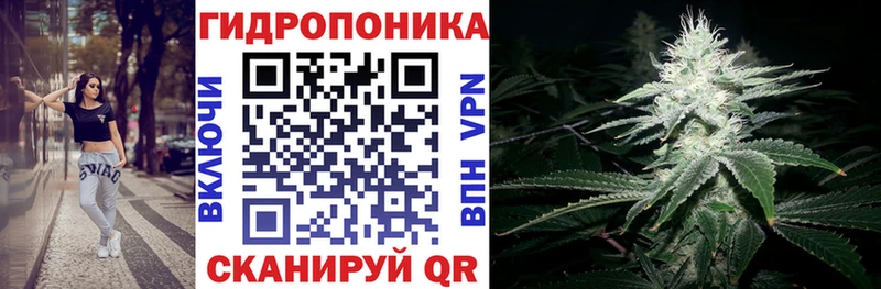 Конопля Amnesia  Купить где  Крымск 